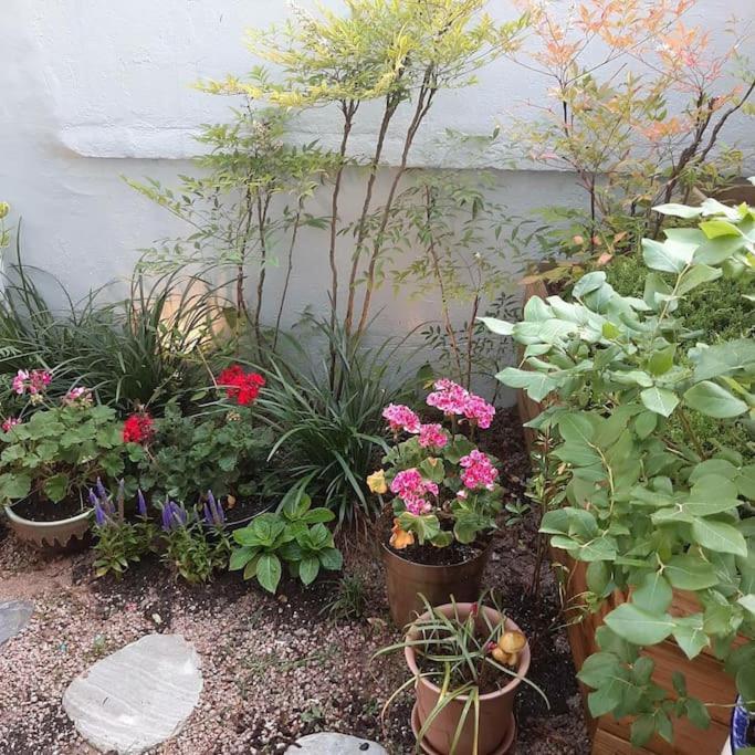 Hongdae Sunlight House-3Room2Bath Seoul • South Korea